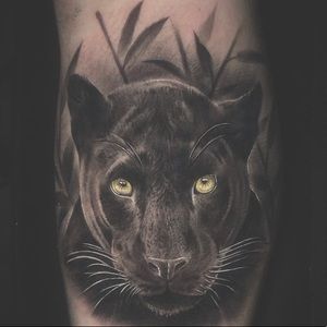 Meet your Posher, Terra